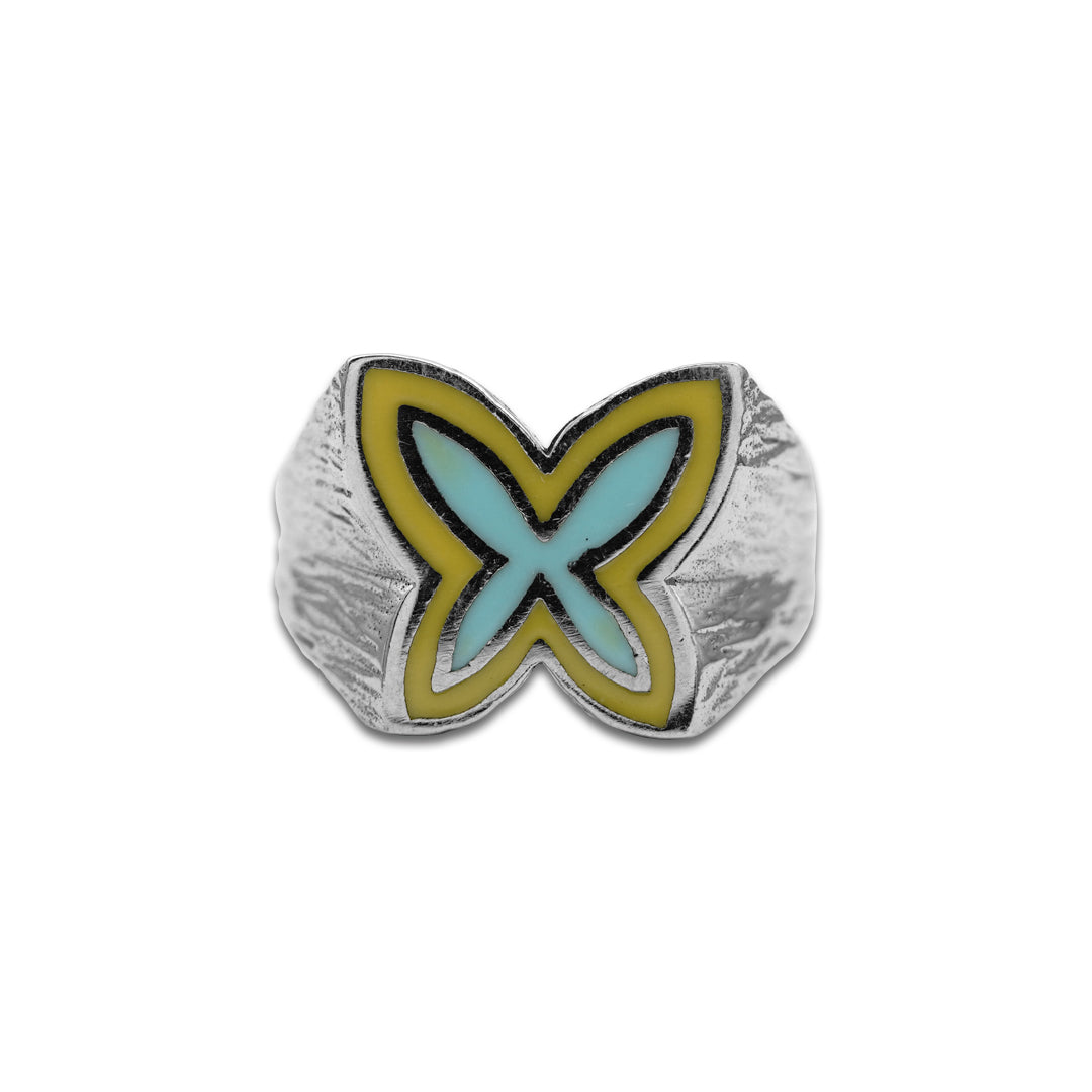 XVDR123