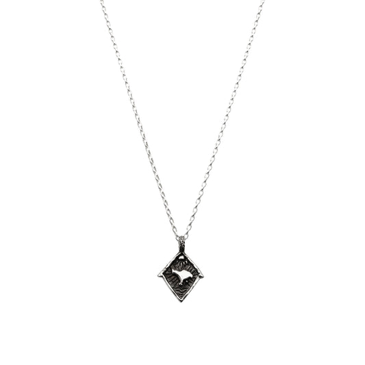 PENDANT + CHAIN NECKLACE - XVDN08